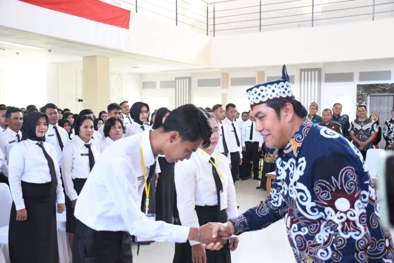 WhatsApp Image 2025-10-15 at 17.39.32_ef8db7e2