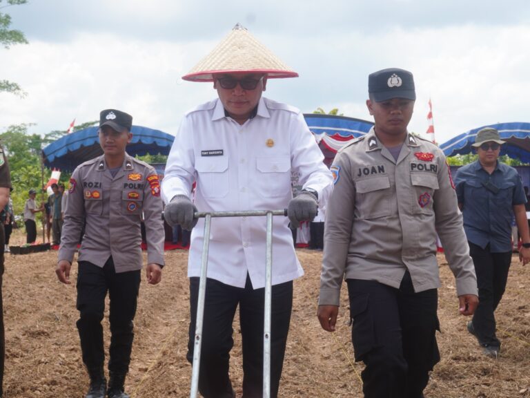 WhatsApp Image 2025-10-15 at 17.42.27_83397840