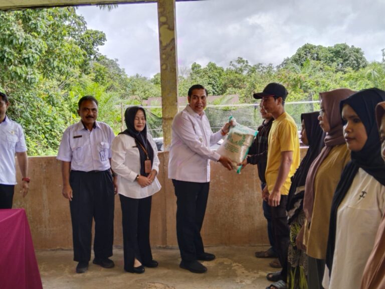 WhatsApp Image 2025-10-22 at 19.32.55_02f1eb0c