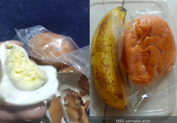 _1334_IMG-20260225-WA0003__1589_IMG-20260225-WA0002